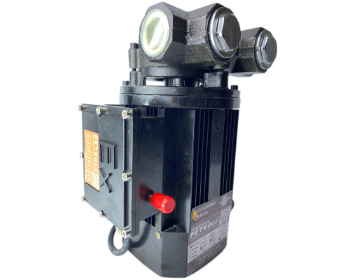 Насос ЕХ ATEX   220 -80